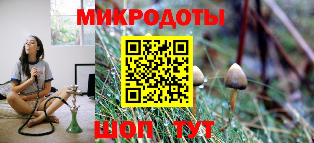 Псилоцибиновые грибы мухоморы  Вход с VPN  Воронеж  Галлюциногенные грибы Psilocybe 